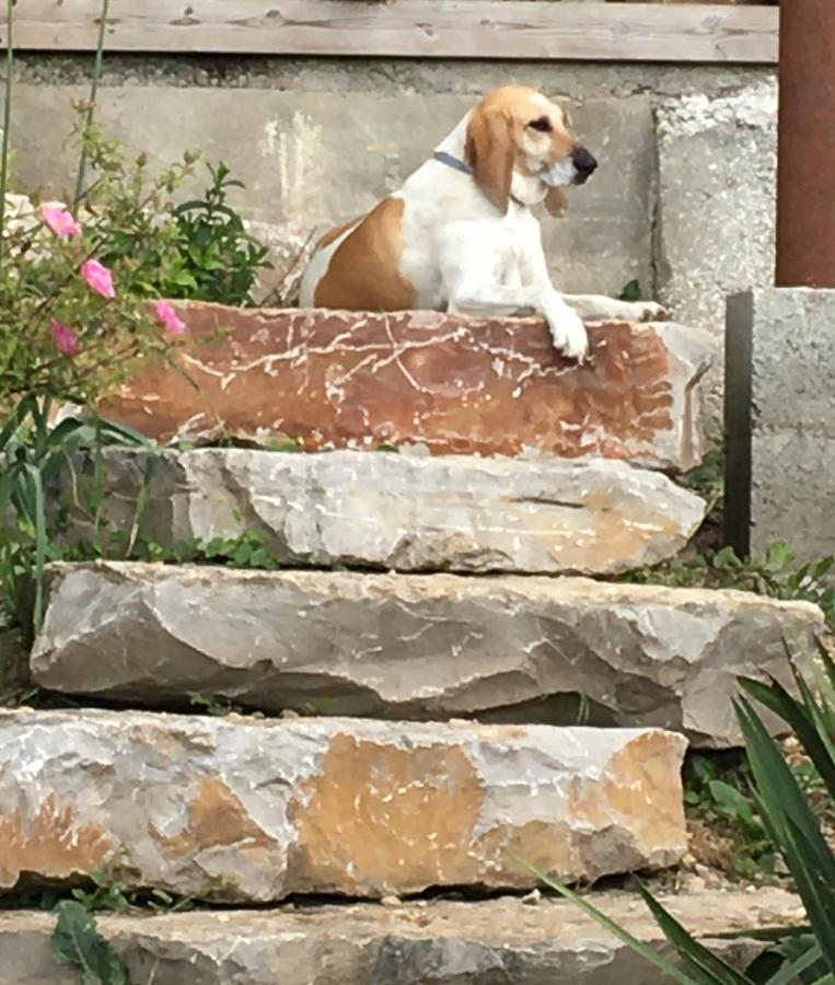 B&B Chez Odile Mirabel  Zewnętrze zdjęcie
